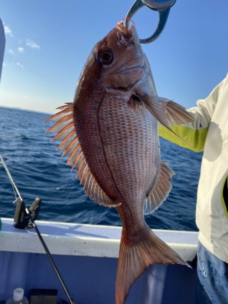 新幸丸 釣果