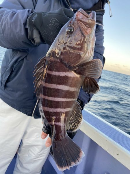 新幸丸 釣果