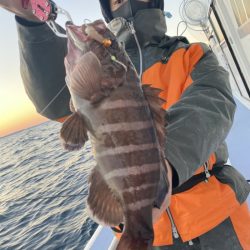 新幸丸 釣果