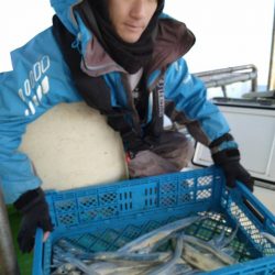 小島丸 釣果