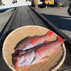 晃山丸 釣果