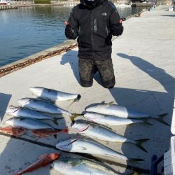 ぽん助丸 釣果