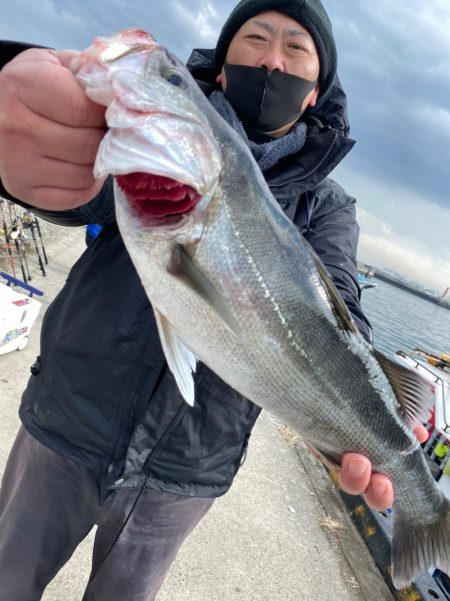 みやけ丸 釣果