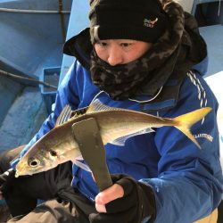 ヤザワ渡船 釣果