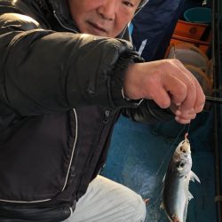 ヤザワ渡船 釣果