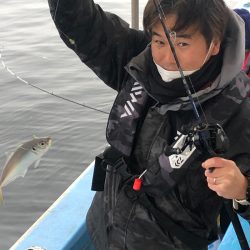 ヤザワ渡船 釣果