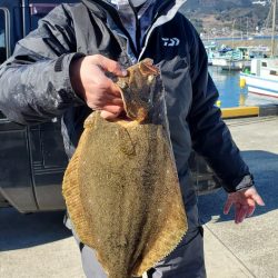 ゆたか丸 釣果