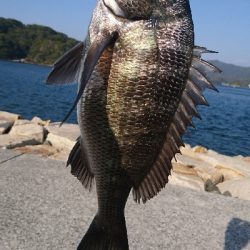 今年最大の引き