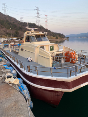 日本海ヤリイカメタル