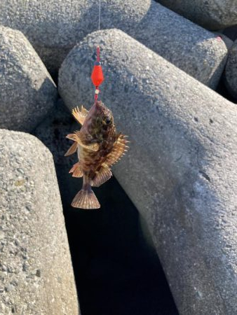 エビ撒き穴釣り