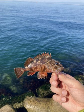 エビ撒き穴釣り