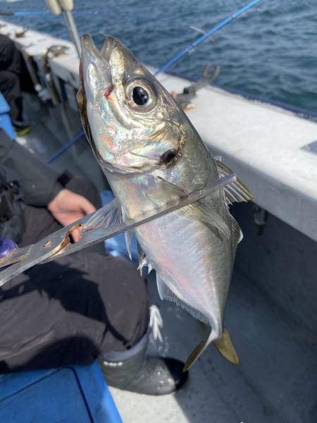 夢丸 釣果