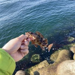 エビ撒き穴釣り