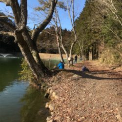 久しぶりのトラウト