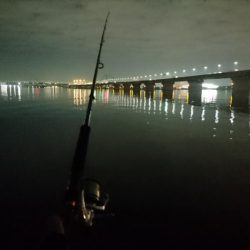 大潮の夜釣り