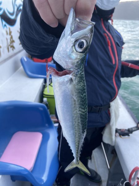 夢丸 釣果