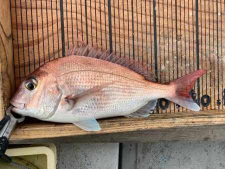 幸吉丸 釣果