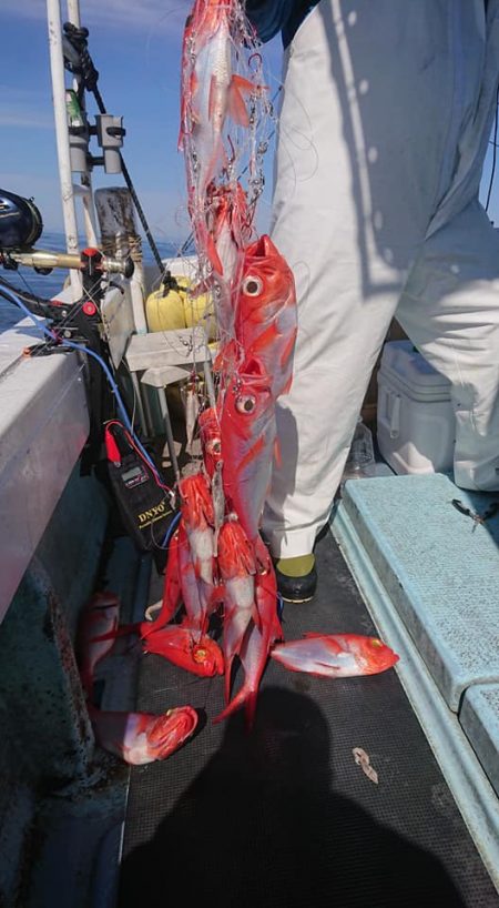 結愛丸 釣果