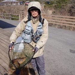 フィッシングレイクたかみや 釣果