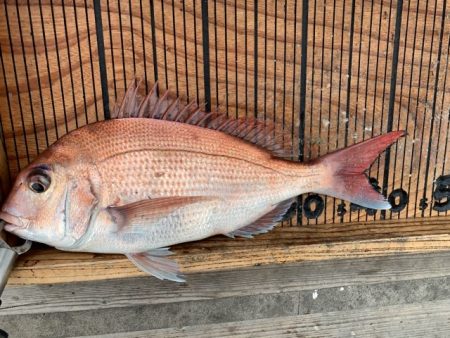 幸吉丸 釣果