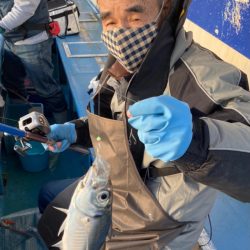 ヤザワ渡船 釣果