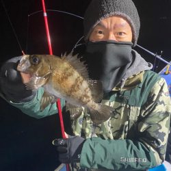 ヤザワ渡船 釣果