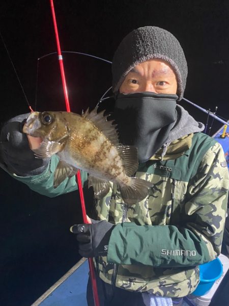 ヤザワ渡船 釣果