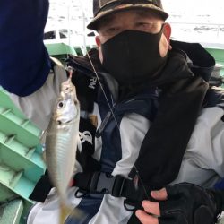 ヤザワ渡船 釣果