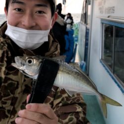 ヤザワ渡船 釣果