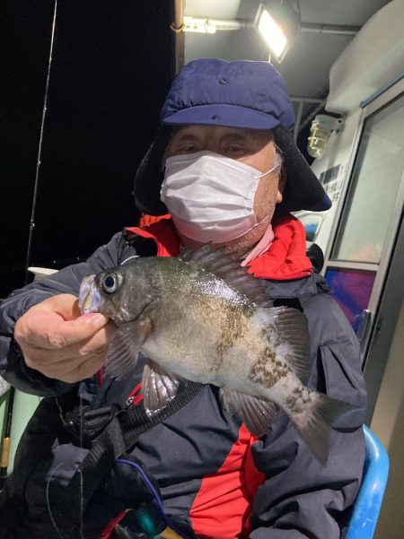 ヤザワ渡船 釣果