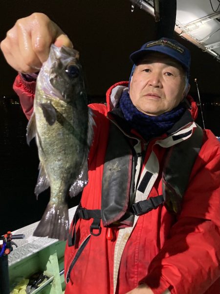 ヤザワ渡船 釣果