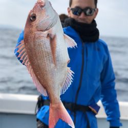 シーマン 釣果