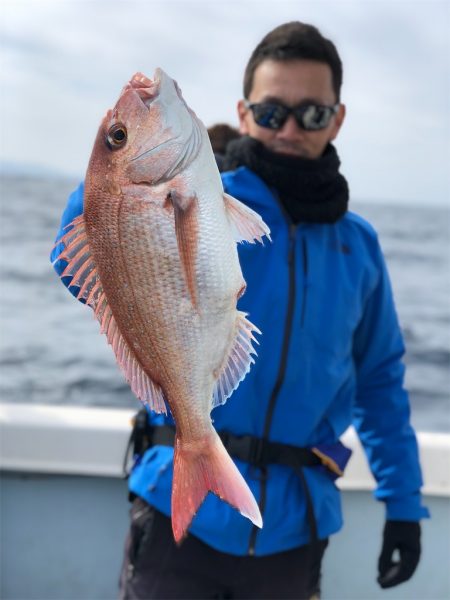 シーマン 釣果