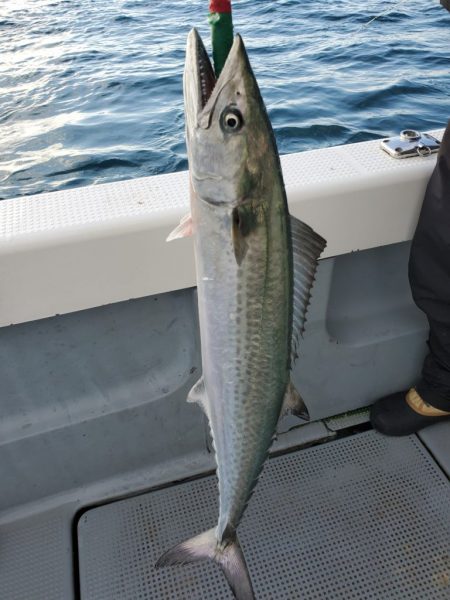 珀宝丸 釣果