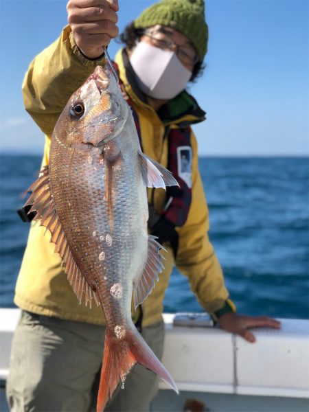 シーマン 釣果