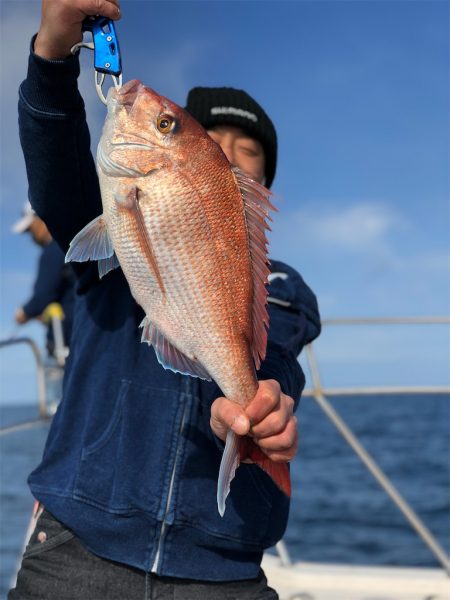 シーマン 釣果