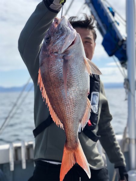 シーマン 釣果