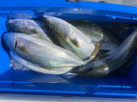 海龍丸（福岡） 釣果