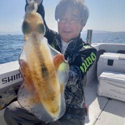 関西 アオリイカ ジギング船 釣り船 釣果情報サイト カンパリ