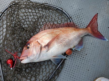 珀宝丸 釣果