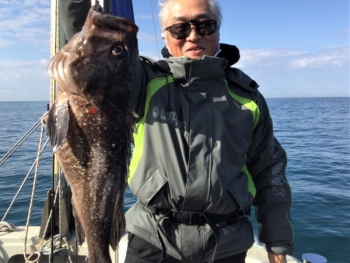 鯛紅丸 釣果