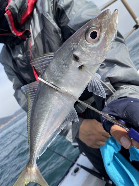 夢丸 釣果