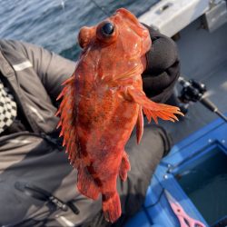 夢丸 釣果