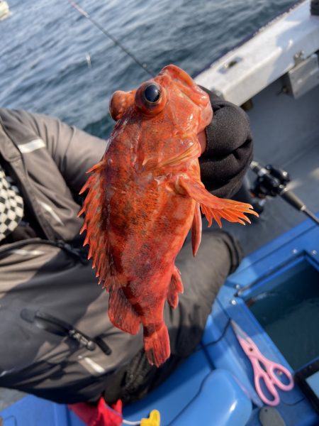 夢丸 釣果