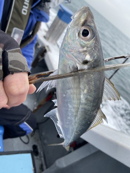 夢丸 釣果