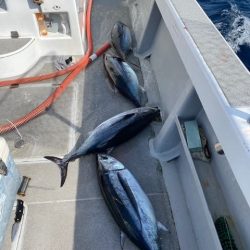 へいみつ丸 釣果