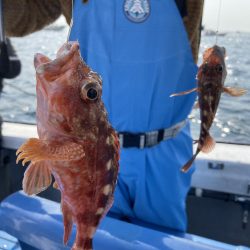 夢丸 釣果