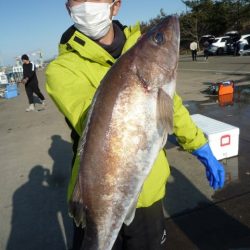 浅間丸 釣果