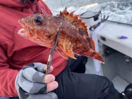 夢丸 釣果