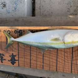 幸吉丸 釣果